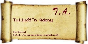 Tulipán Adony névjegykártya